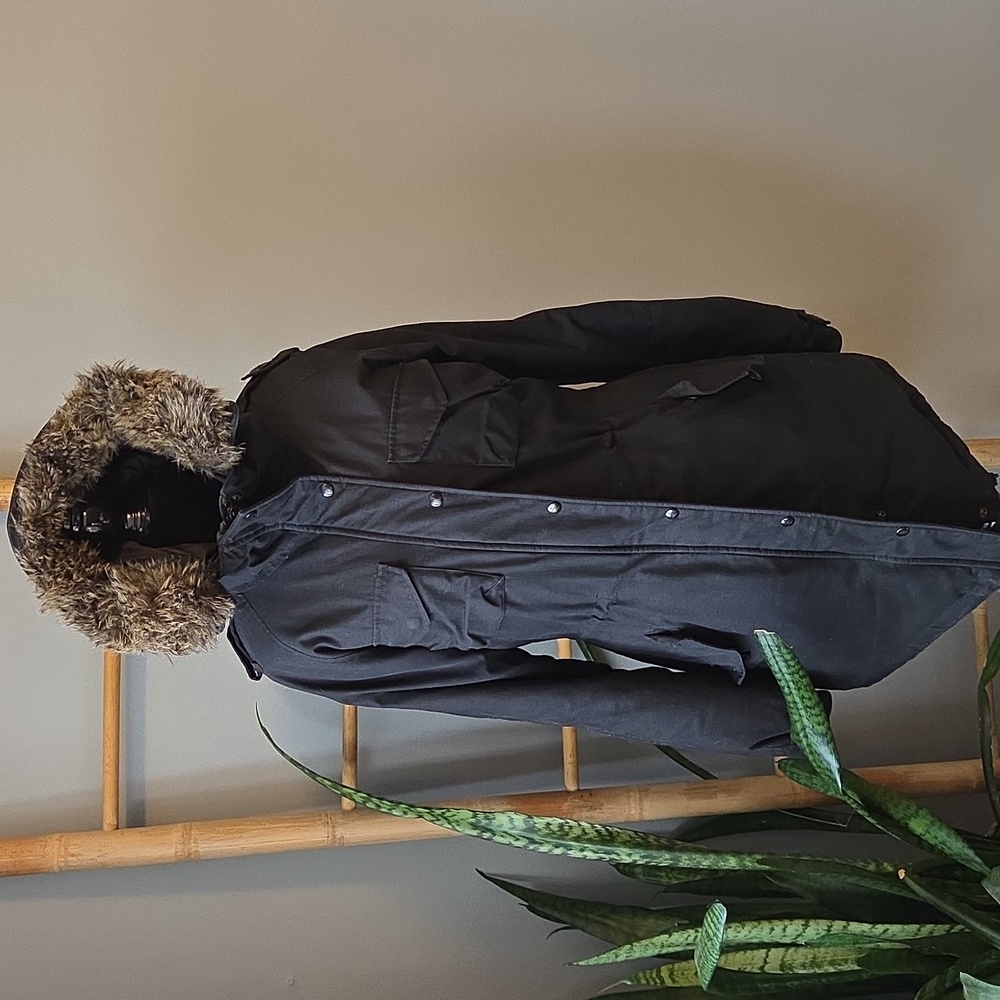 Aritzia Community Hooded Parka